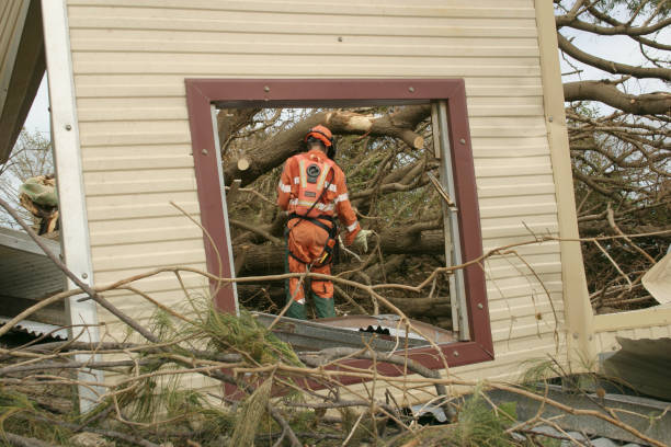 Best Emergency Tree Removal  in Oakland, IA