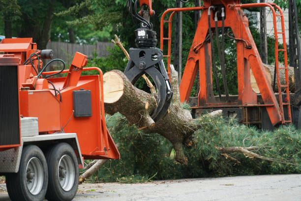 Best Seasonal Cleanup (Spring/Fall)  in Oakland, IA
